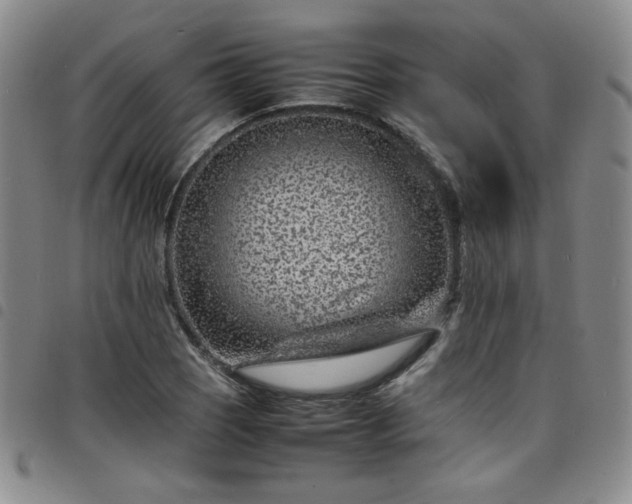 X0000098161121200804241757