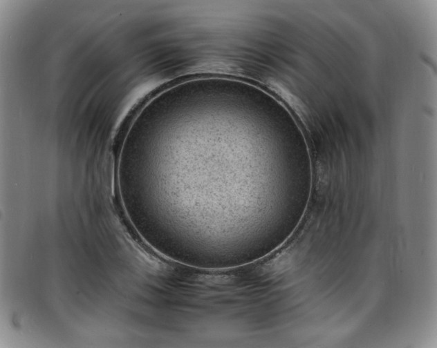 X0000098161123200804241757