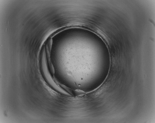 X0000098161124200804241757