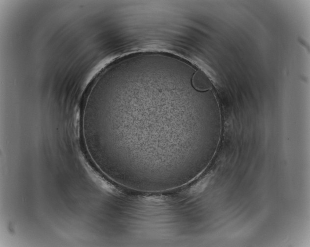 X0000098161126200804241757