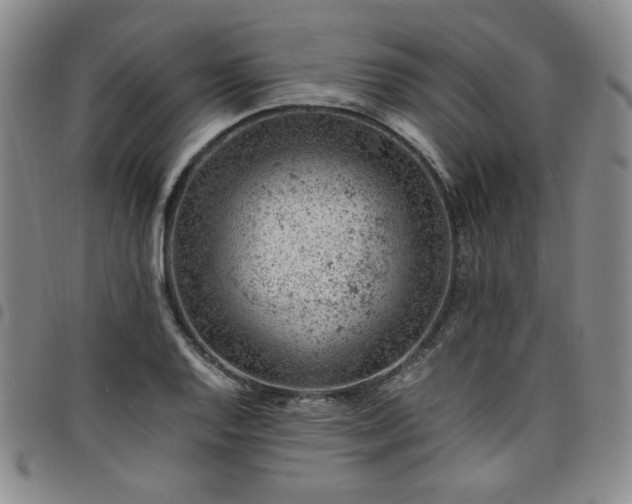 X0000098161128200804241757