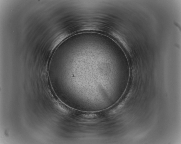 X0000098161129200804241757