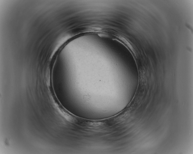 X0000098161131200804241757