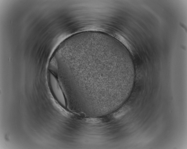 X0000098161132200804241757