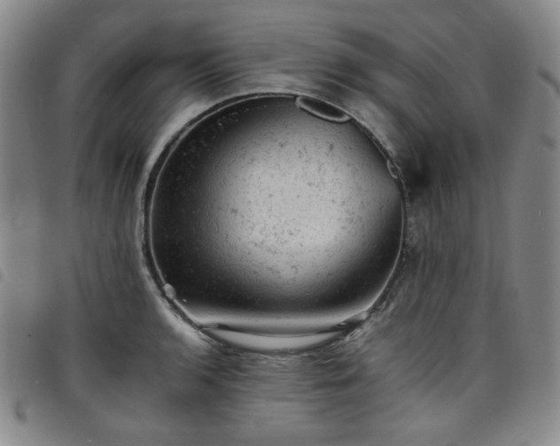X0000098161136200804241757