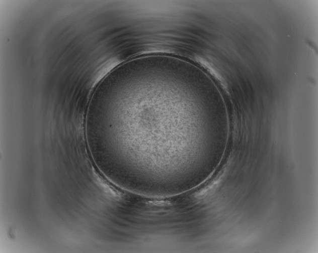 X0000098161137200804241757