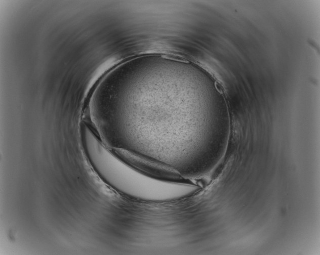 X0000098161138200804241757