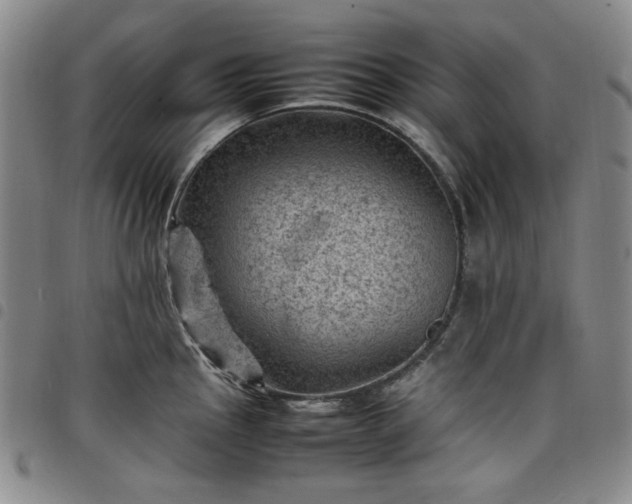 X0000098161145200804241757