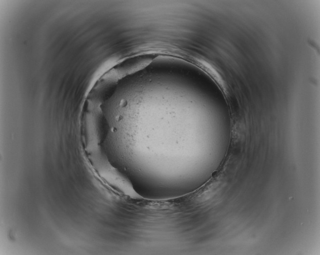 X0000098161146200804241757