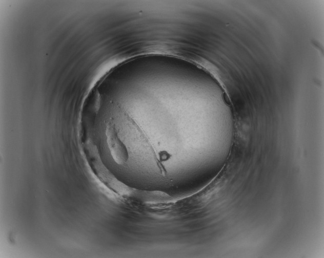 X0000098161147200804241757