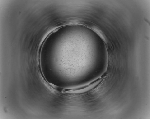 X0000098161148200804241757