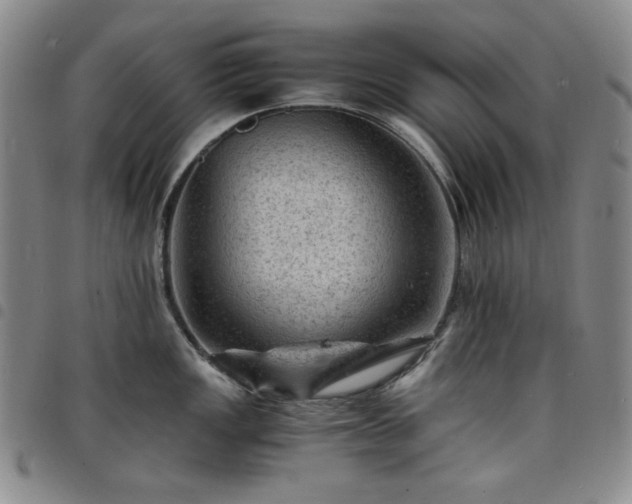 X0000098161149200804241757
