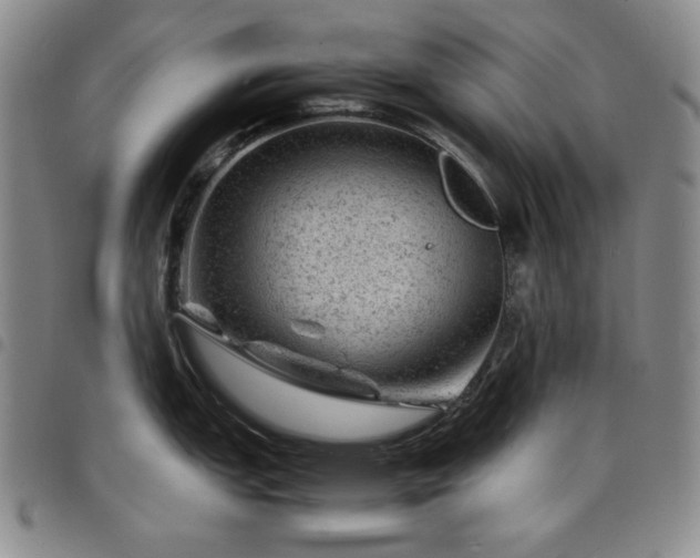 X0000098161151200804241757