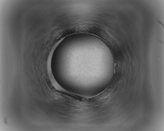 X0000098161153200804241757