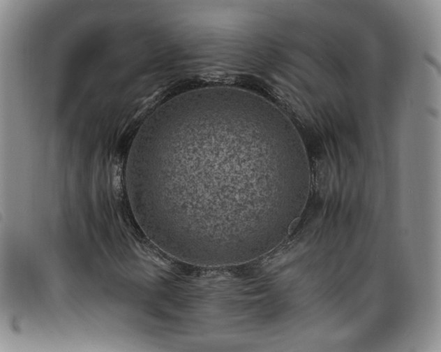 X0000098161154200804241757