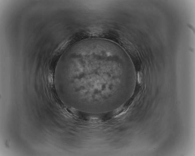 X0000098161155200804241757
