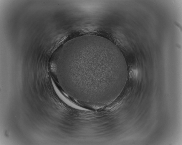 X0000098161156200804241757