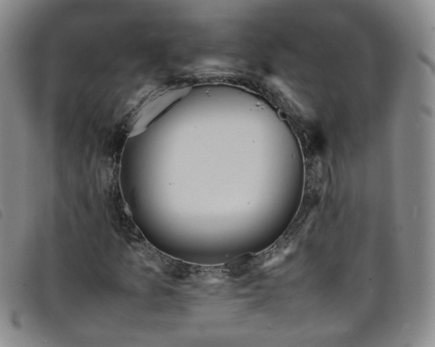 X0000098161157200804241757