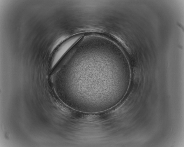 X0000098161163200804241757