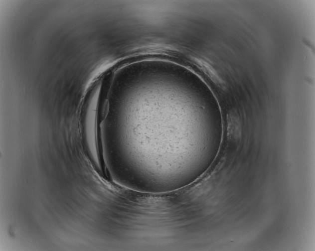 X0000098161164200804241757