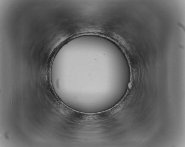 X0000098161165200804241757