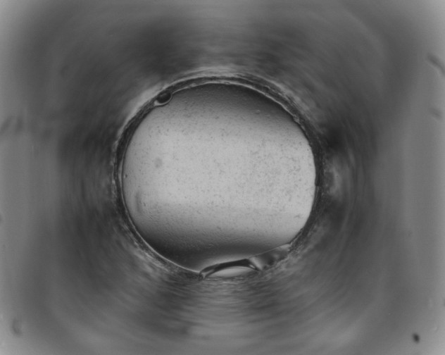 X0000098161168200804241757