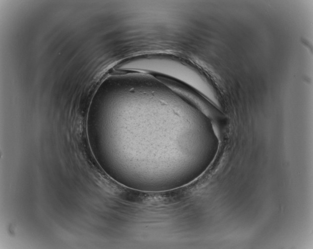 X0000098161169200804241757
