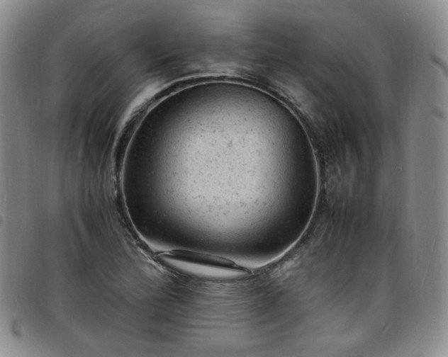 X0000098161172200804241757