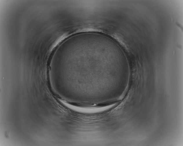 X0000098161173200804241757