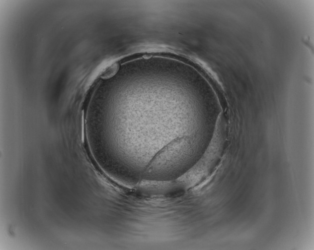X0000098161175200804241756