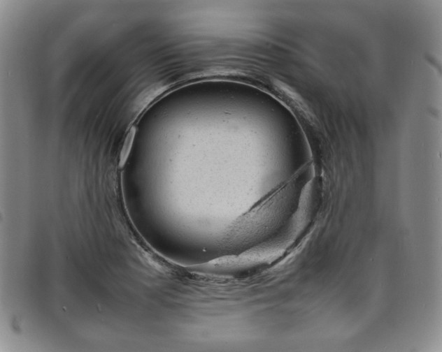 X0000098161177200804241756