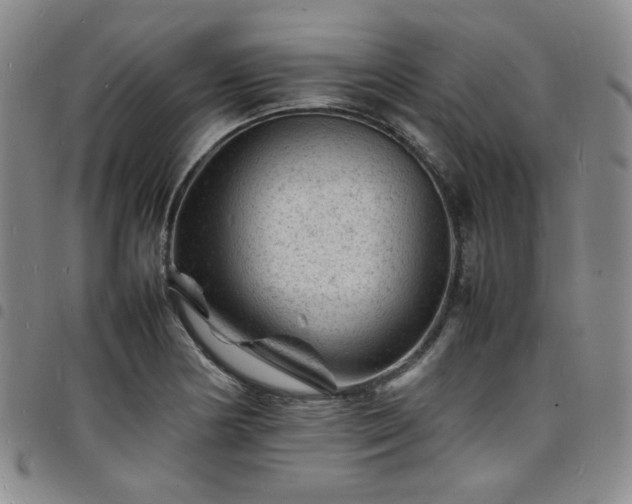 X0000098161178200804241756