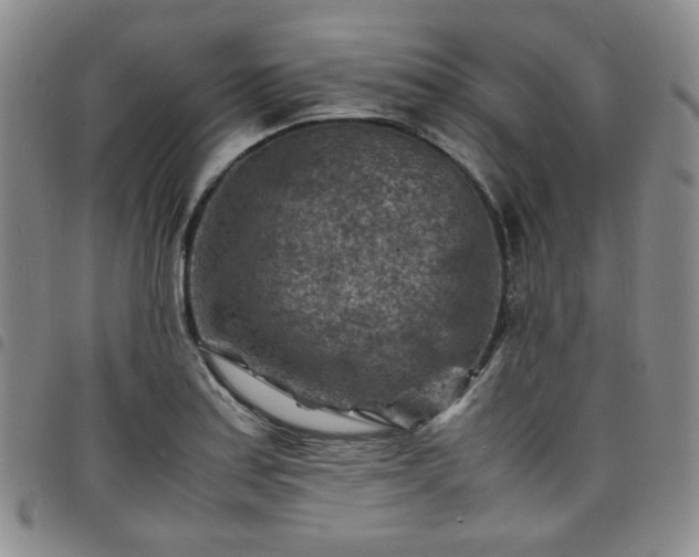 X0000098161179200804241756