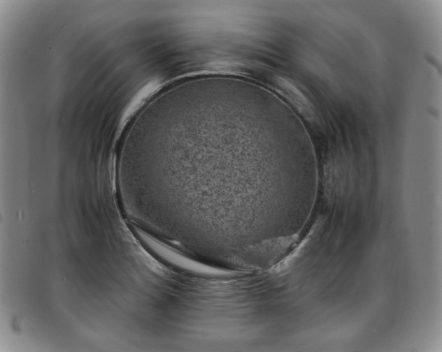 X0000098161180200804241756