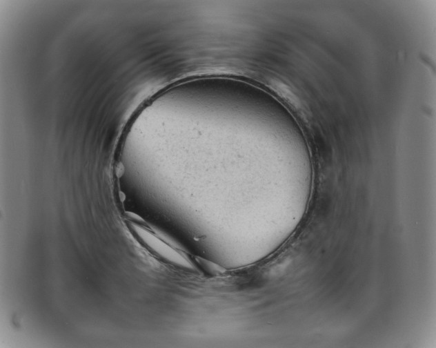 X0000098161181200804241756