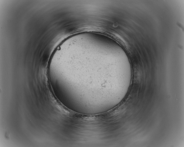 X0000098161182200804241756