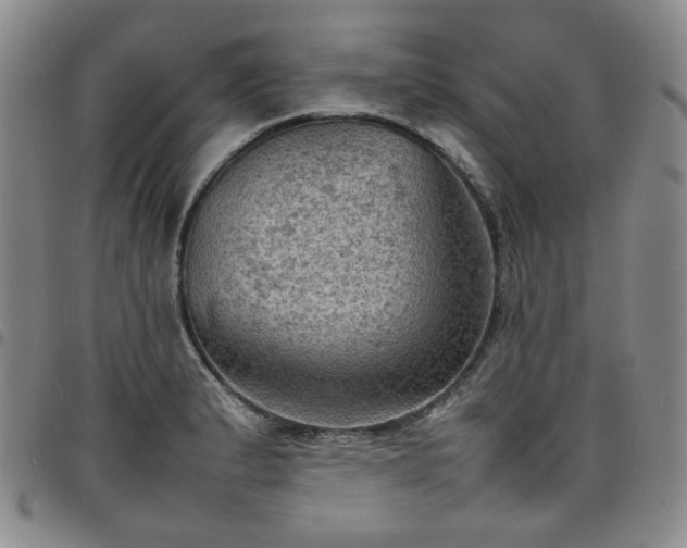 X0000098161183200804241756