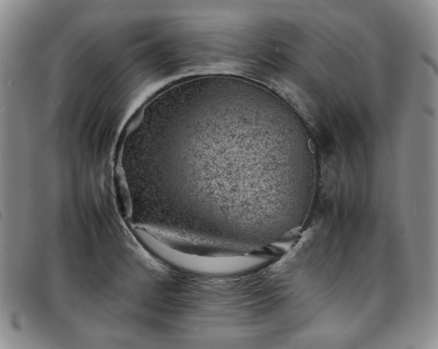 X0000098161184200804241756