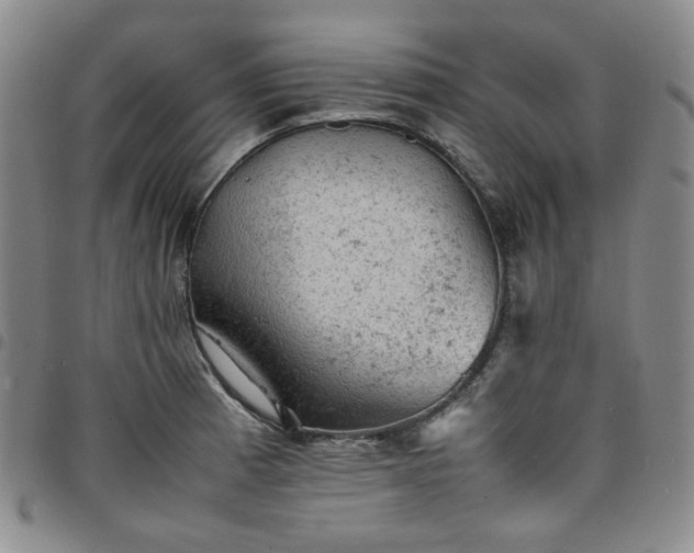 X0000098161185200804241756