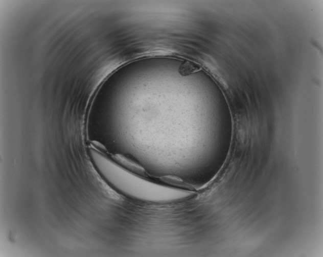X0000098161186200804241756