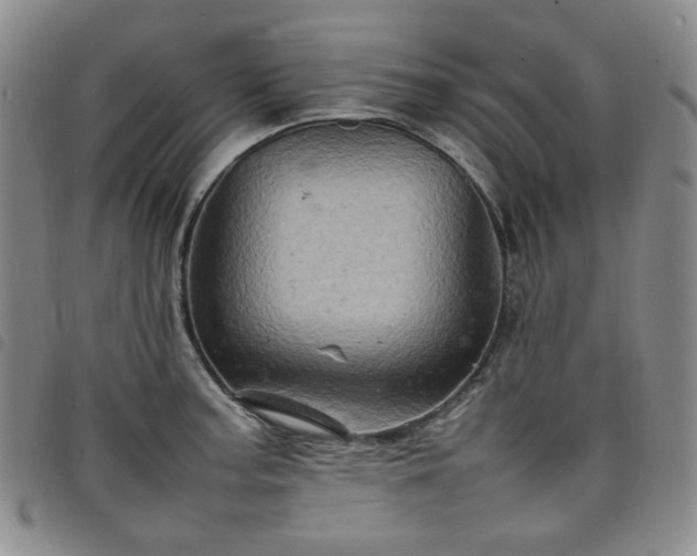 X0000098161187200804241756