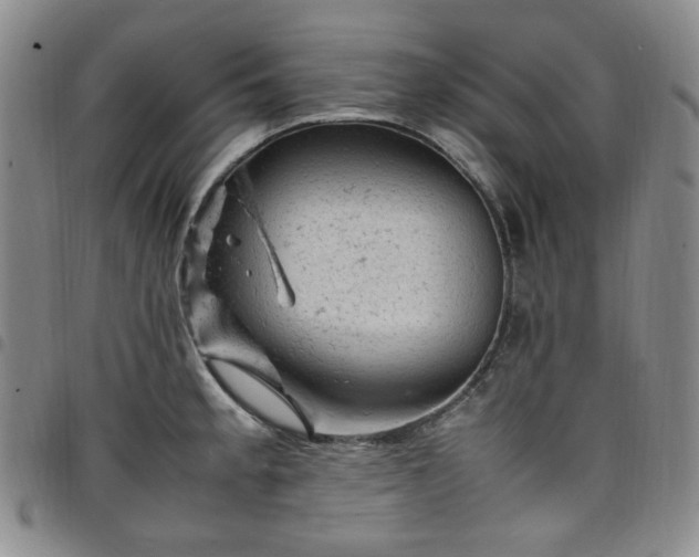 X0000098161189200804241756