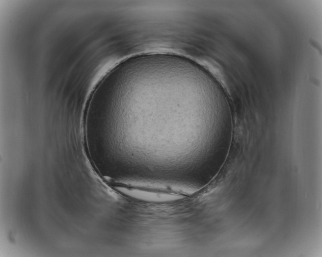 X0000098161191200804241756