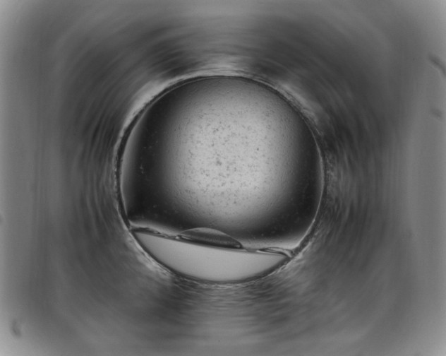 X0000098161192200804241756