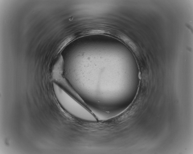 X0000098161193200804241756