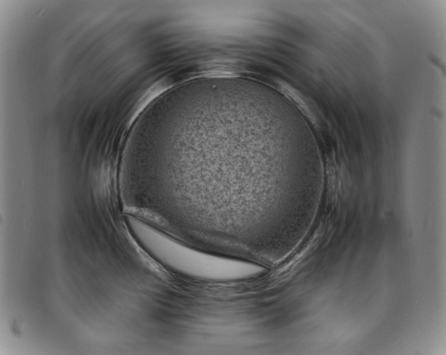 X0000098161194200804241756
