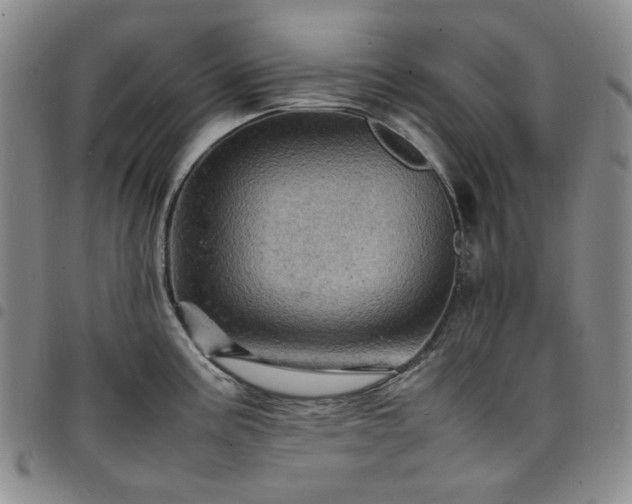 X0000098161195200804241756