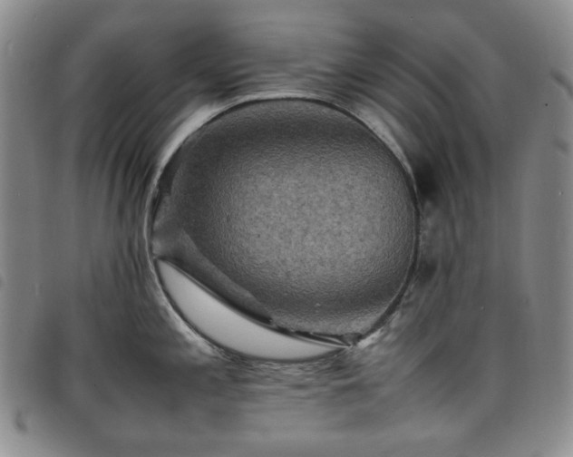 X0000098161197200804241756