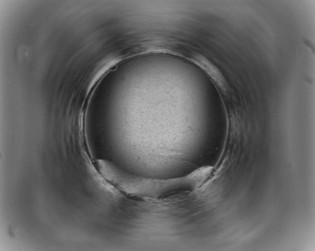 X0000098161198200804241756