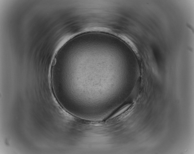 X0000098161199200804241756